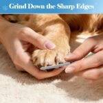Heavy Duty Pet Nail Clippers with Safety Guard and Nail File for Dogs, Cats and Small Animals (Blue) - Image 3